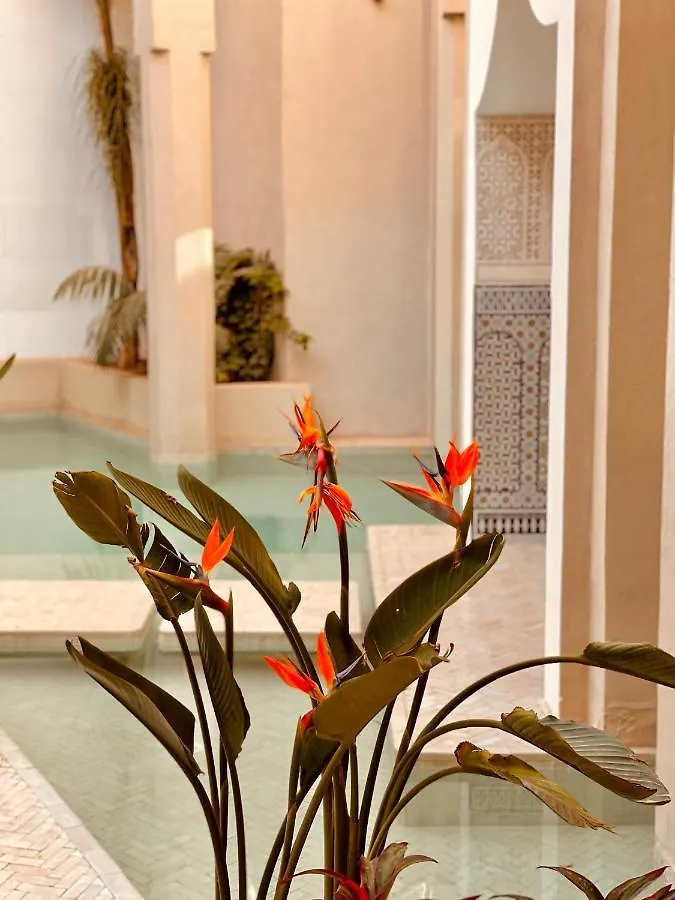 **** Riad 72 Hotel & Spa Marrakesh Morocco